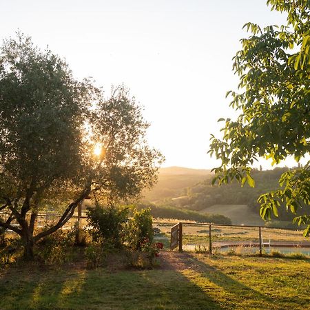 Agriturismo Le Tre Pietre - Podere Nel Chianti Quercegrossa Eksteriør billede