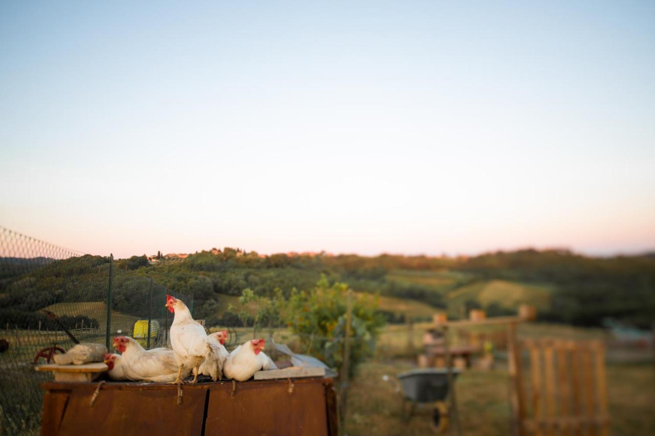 Agriturismo Le Tre Pietre - Podere Nel Chianti Quercegrossa Eksteriør billede